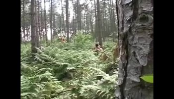 forest fuck feast