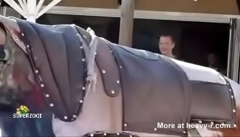 free porn download hd