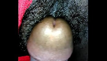 hairy pussy mexsican
